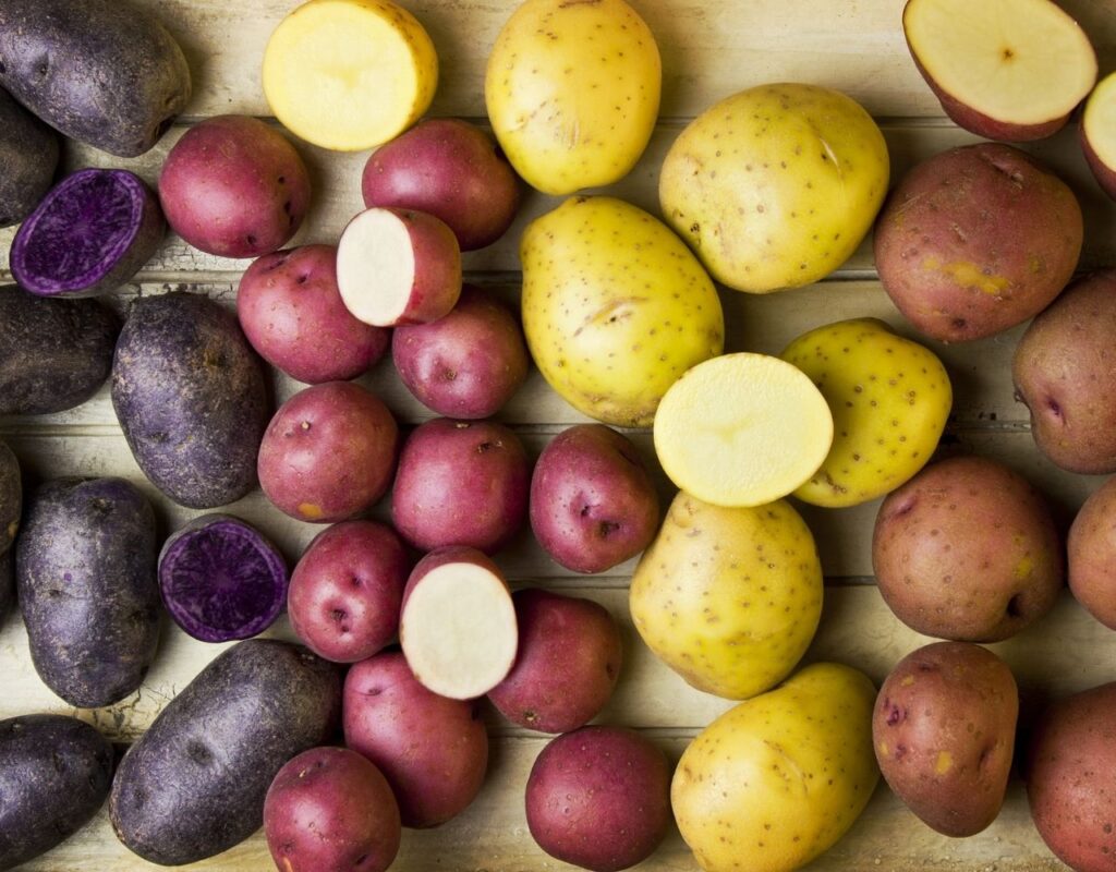 Wissenswertes über Kartoffelsorten