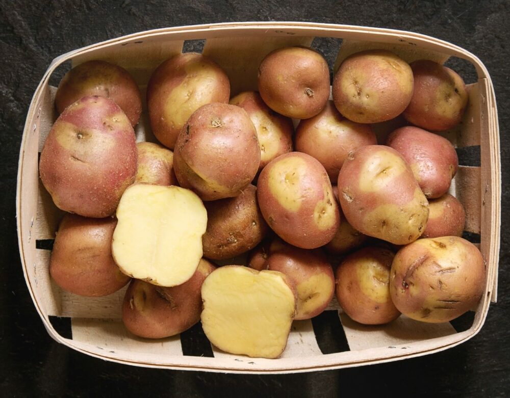 KartoffelsortenListe (mit 60+ Sorten) Einfach Kartoffel