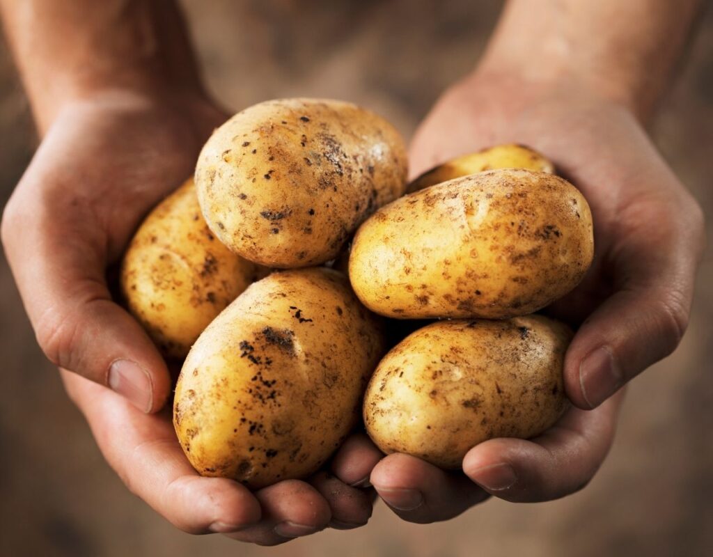 Außergewöhnliche Kartoffelrezepte (1)