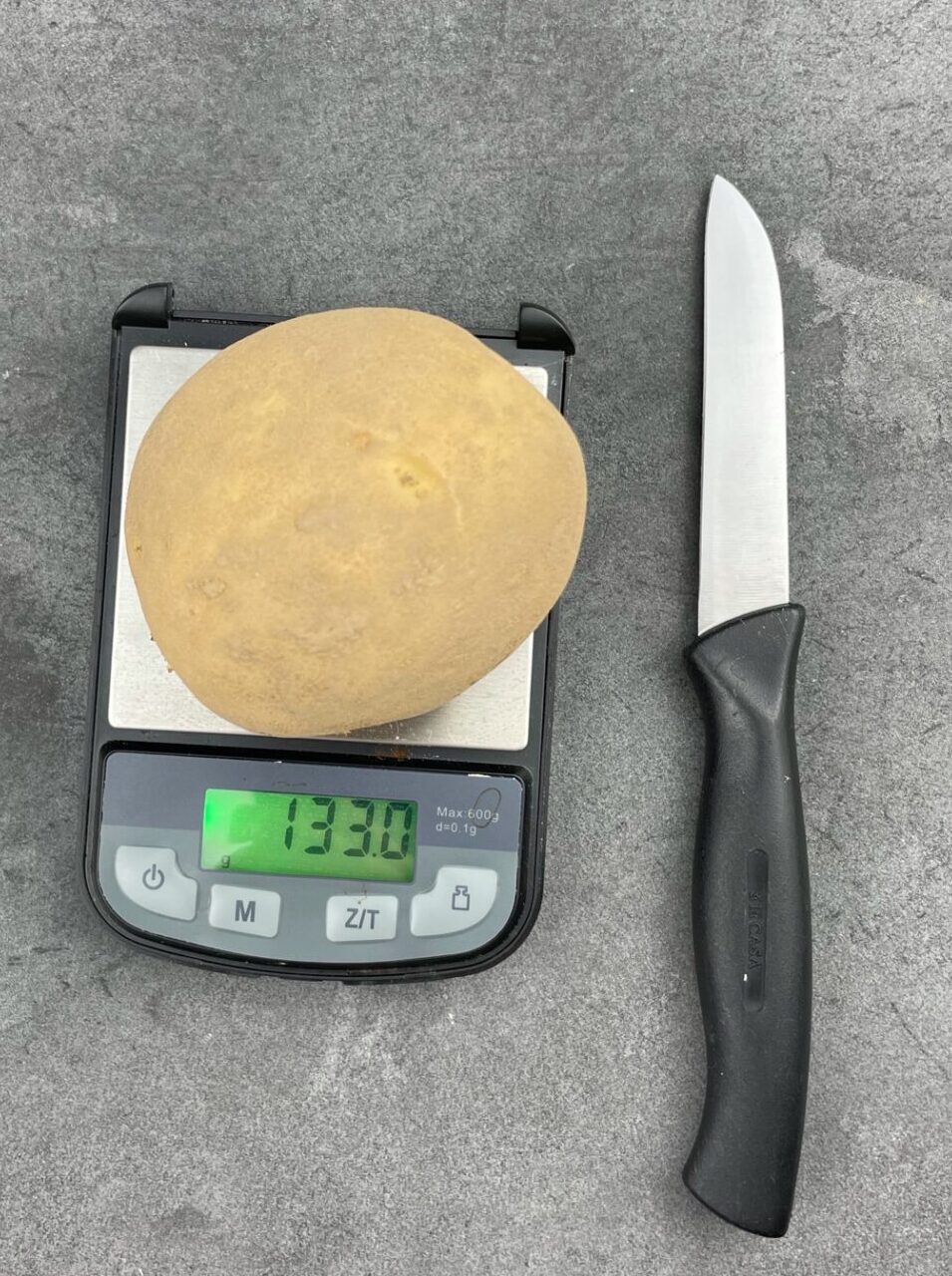 Mittelgroße Kartoffel Karelia wiegt etwa 90 Gramm